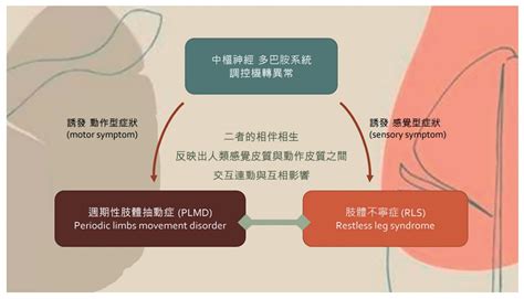 不寧手|手腳麻麻讓您睡不好？關於「不寧腿」需了解的二三事。